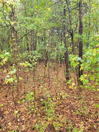 1 Acre of Residential Land for Sale in Adairsville, Georgia