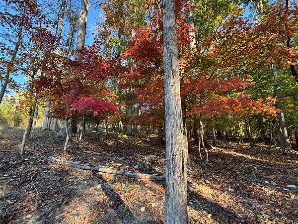 29.4 Acres of Recreational Land for Sale in Eldorado Township, North Carolina