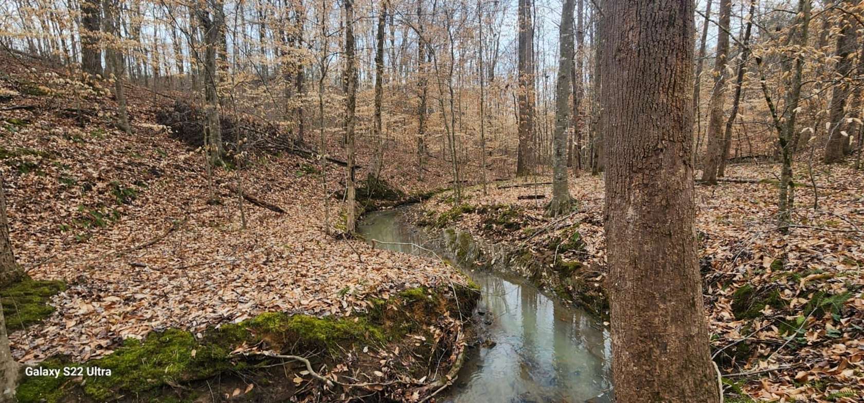 30 Acres of Recreational Land for Sale in Crandall, Georgia
