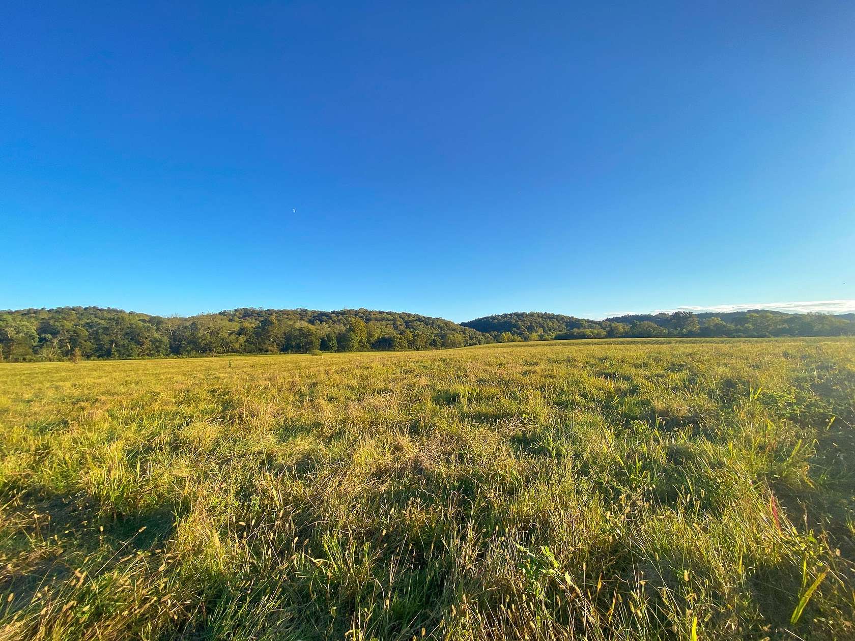 7.49 Acres of Residential Land for Sale in Kingston Springs, Tennessee