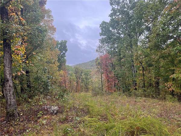 30 Acres of Recreational Land for Sale in Prairie Grove, Arkansas