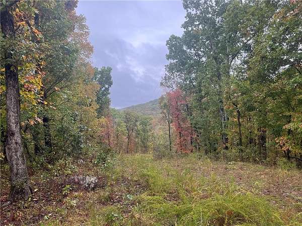 30 Acres of Recreational Land for Sale in West Fork, Arkansas