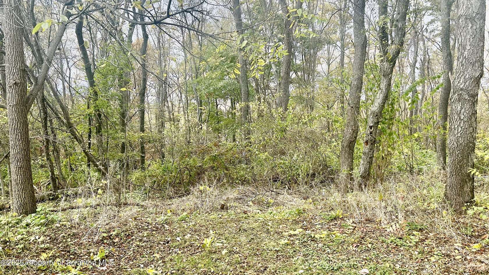 2 Acres of Land for Sale in Archbald, Pennsylvania