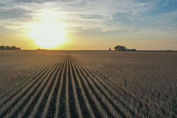 467 Acres of Recreational Land & Farm for Auction in Dayton, Iowa