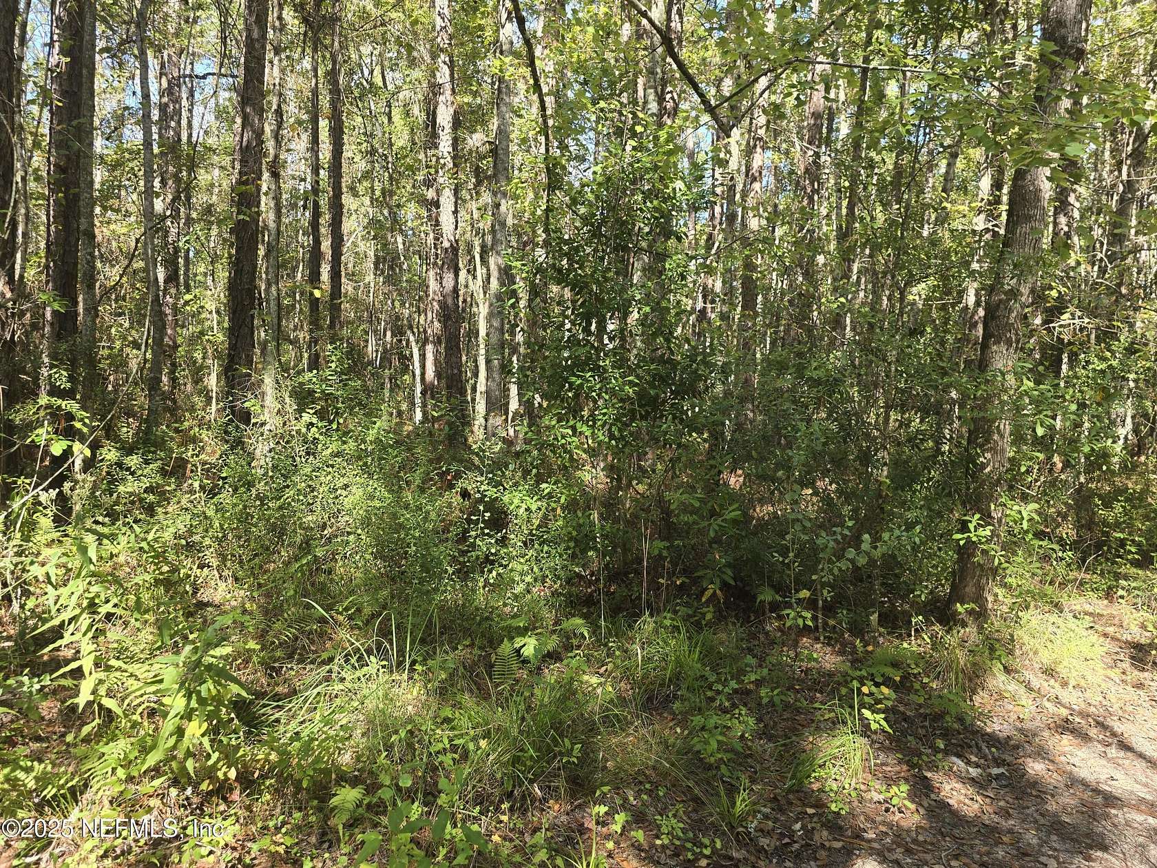 1.24 Acres of Land for Sale in Middleburg, Florida