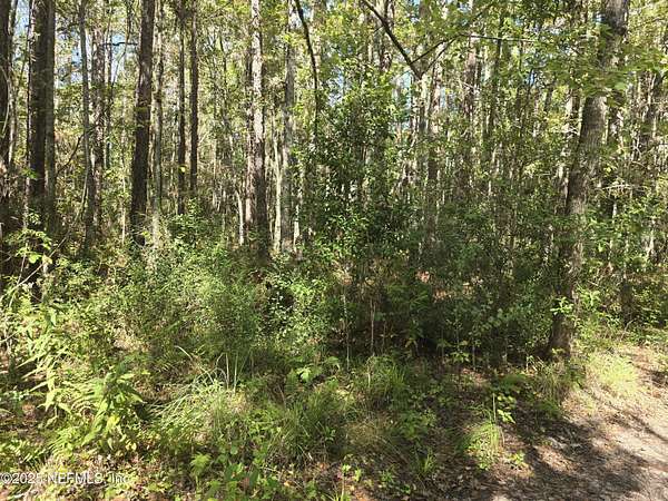 1.24 Acres of Land for Sale in Middleburg, Florida