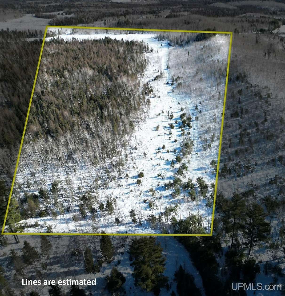 20 Acres of Recreational Land for Sale in Perronville, Michigan