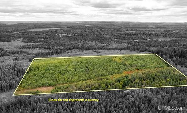 20 Acres of Recreational Land for Sale in Perronville, Michigan