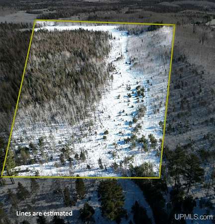 20 Acres of Recreational Land for Sale in Perronville, Michigan