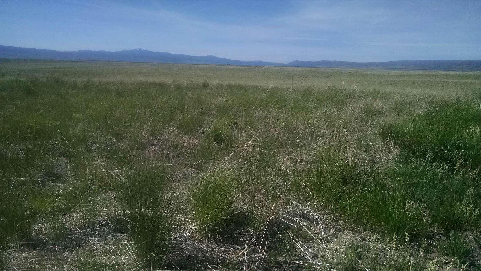 635 Acres of Recreational Land & Farm for Sale in Bancroft, Idaho