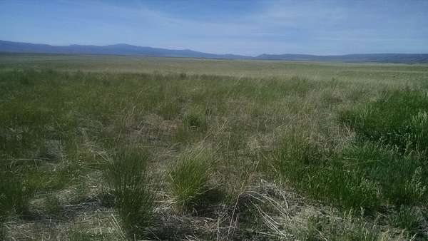 635 Acres of Recreational Land for Sale in Bancroft, Idaho