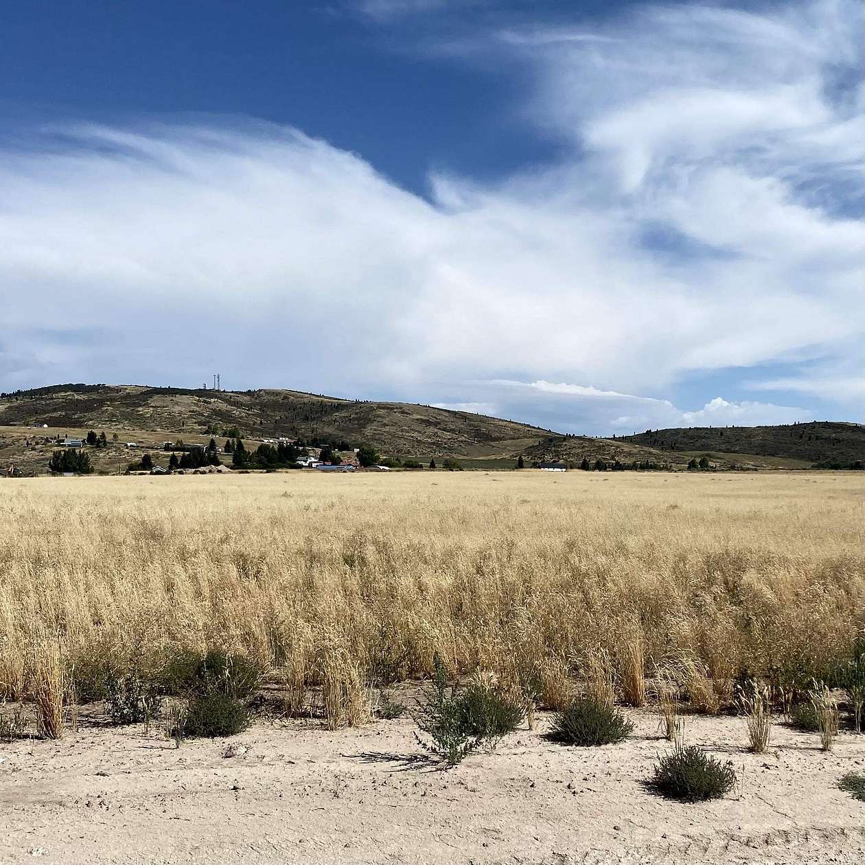 5 Acres of Residential Land for Sale in Soda Springs, Idaho