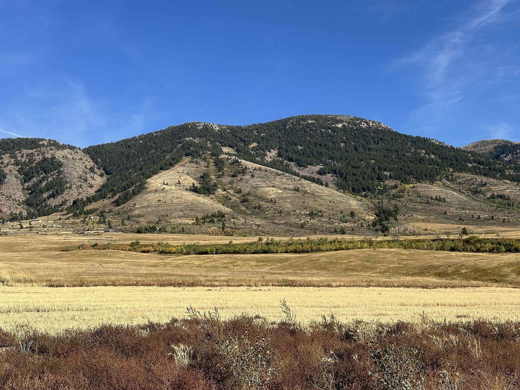 1.22 Acres of Residential Land for Sale in Inkom, Idaho