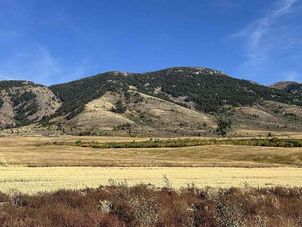1.22 Acres of Residential Land for Sale in Inkom, Idaho