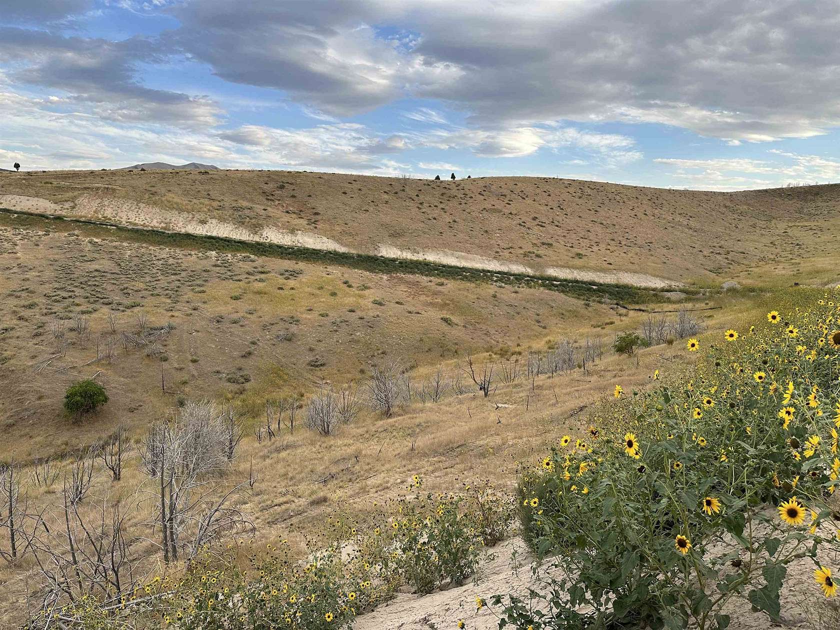 4.62 Acres of Residential Land for Sale in Pocatello, Idaho