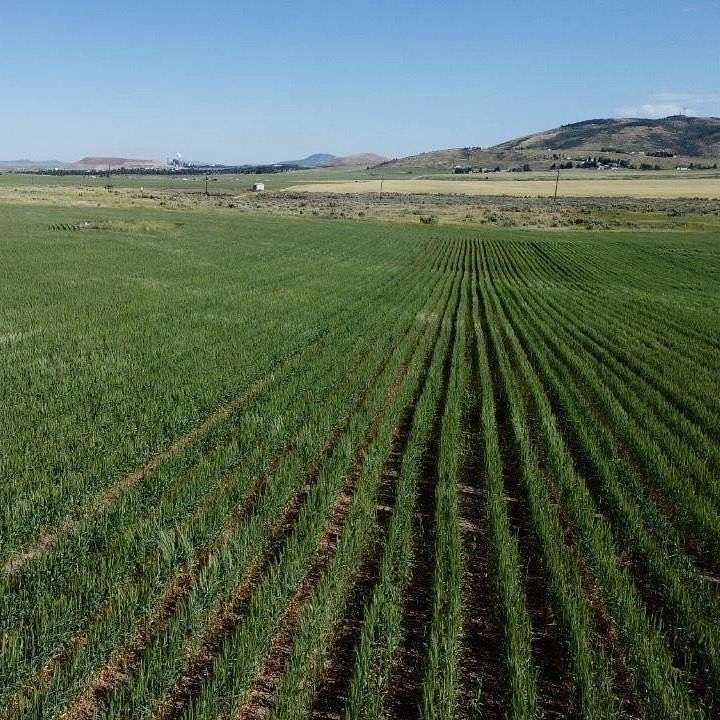 72 Acres of Land for Sale in Soda Springs, Idaho