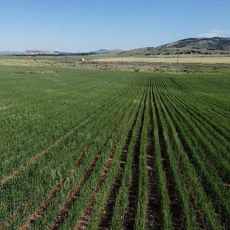 72 Acres of Land for Sale in Soda Springs, Idaho