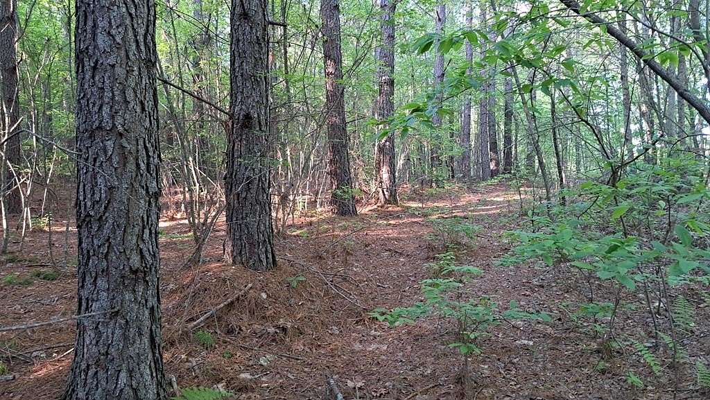 7.7 Acres of Residential Land for Sale in Rockwood, Tennessee