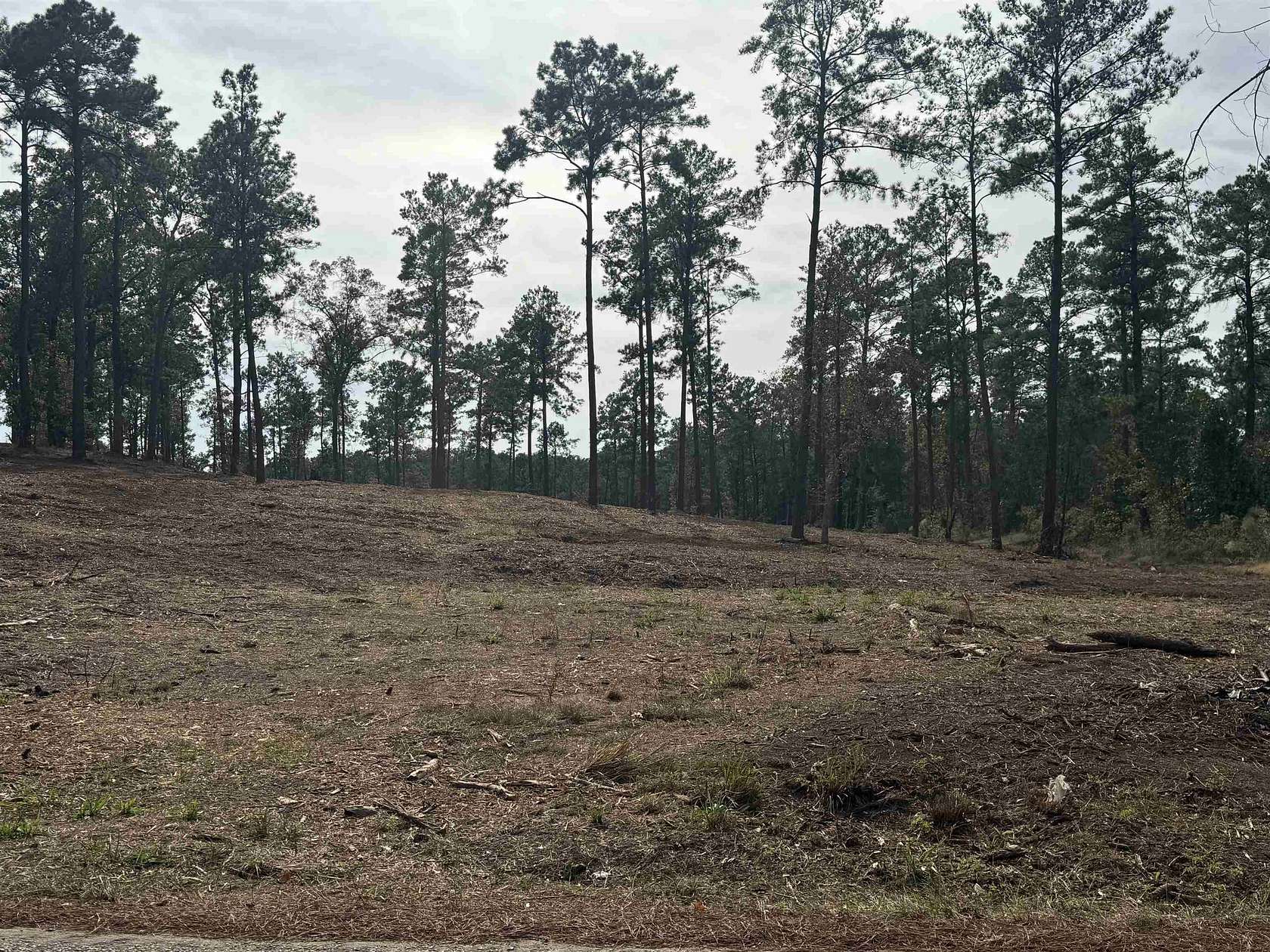 0.5 Acres of Residential Land for Sale in Brookeland, Texas