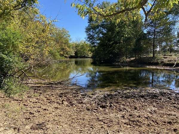 143 Acres of Recreational Land & Farm for Sale in Mount Vernon, Texas