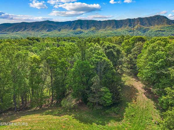 28 Acres of Recreational Land for Sale in Dandridge, Tennessee