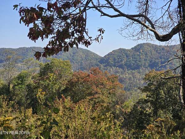 53 Acres of Recreational Land for Sale in Eidson, Tennessee