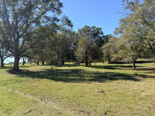 18 Acres of Land for Sale in Newville, Alabama