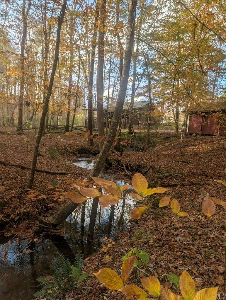 4.1 Acres of Residential Land with Home for Sale in Hiawassee, Georgia