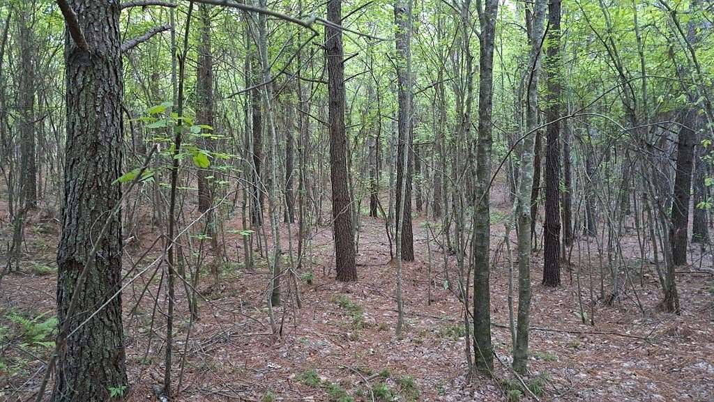 7 Acres of Residential Land for Sale in Rockwood, Tennessee