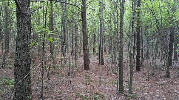 7 Acres of Residential Land for Sale in Rockwood, Tennessee