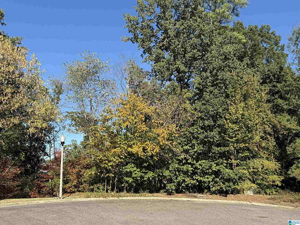 2.1 Acres of Residential Land for Sale in Homewood, Alabama