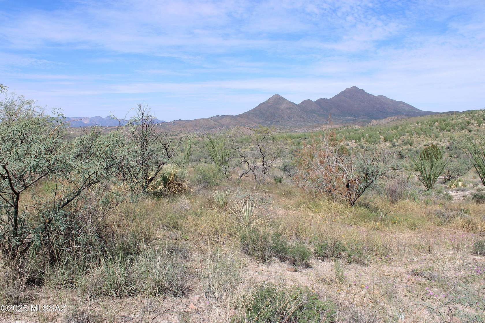 0.87 Acres of Residential Land for Sale in Rio Rico, Arizona