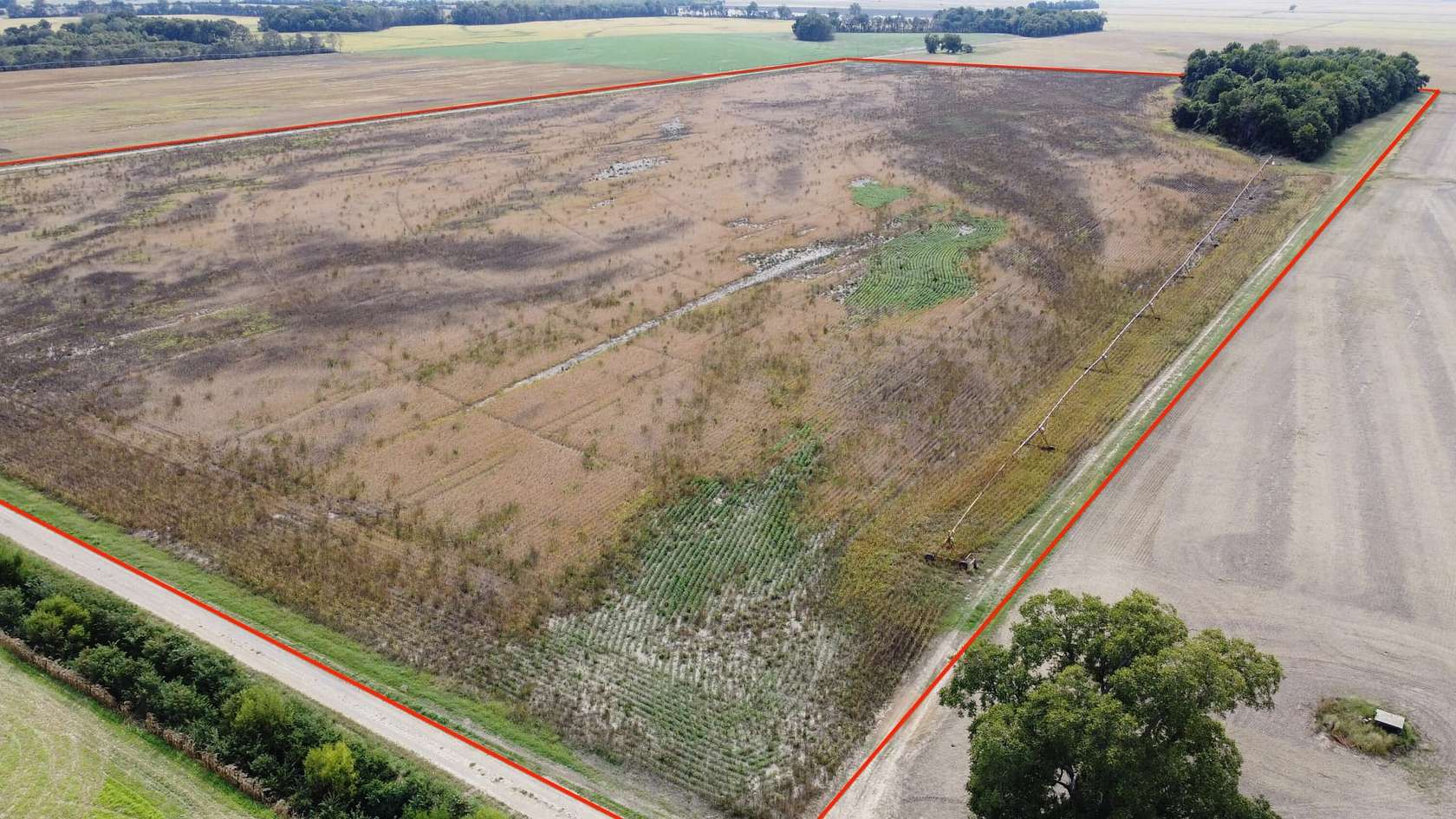 80 Acres of Agricultural Land for Sale in East Prairie, Missouri