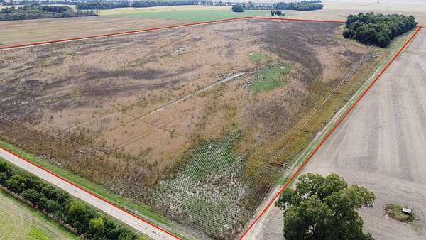 80 Acres of Agricultural Land for Sale in East Prairie, Missouri