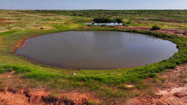 120 Acres of Recreational Land & Farm for Sale in Harrold, Texas