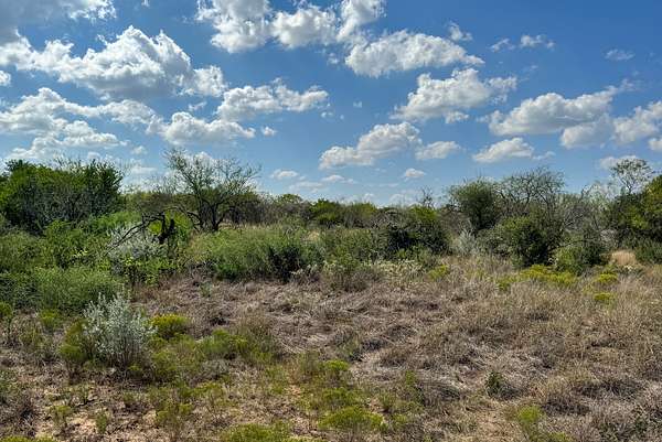11.9 Acres of Land for Sale in George West, Texas
