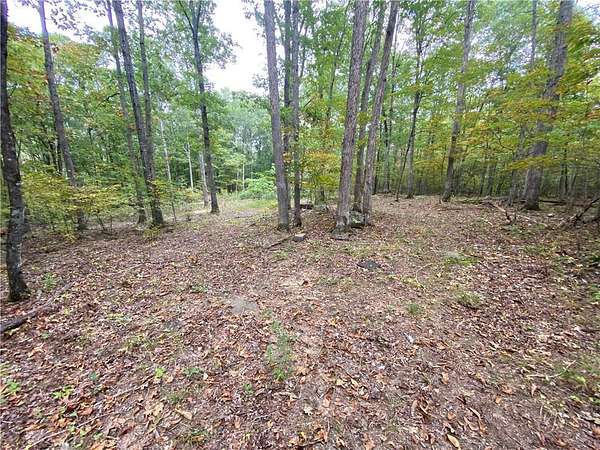38.8 Acres of Recreational Land & Farm for Sale in Jasper, Arkansas
