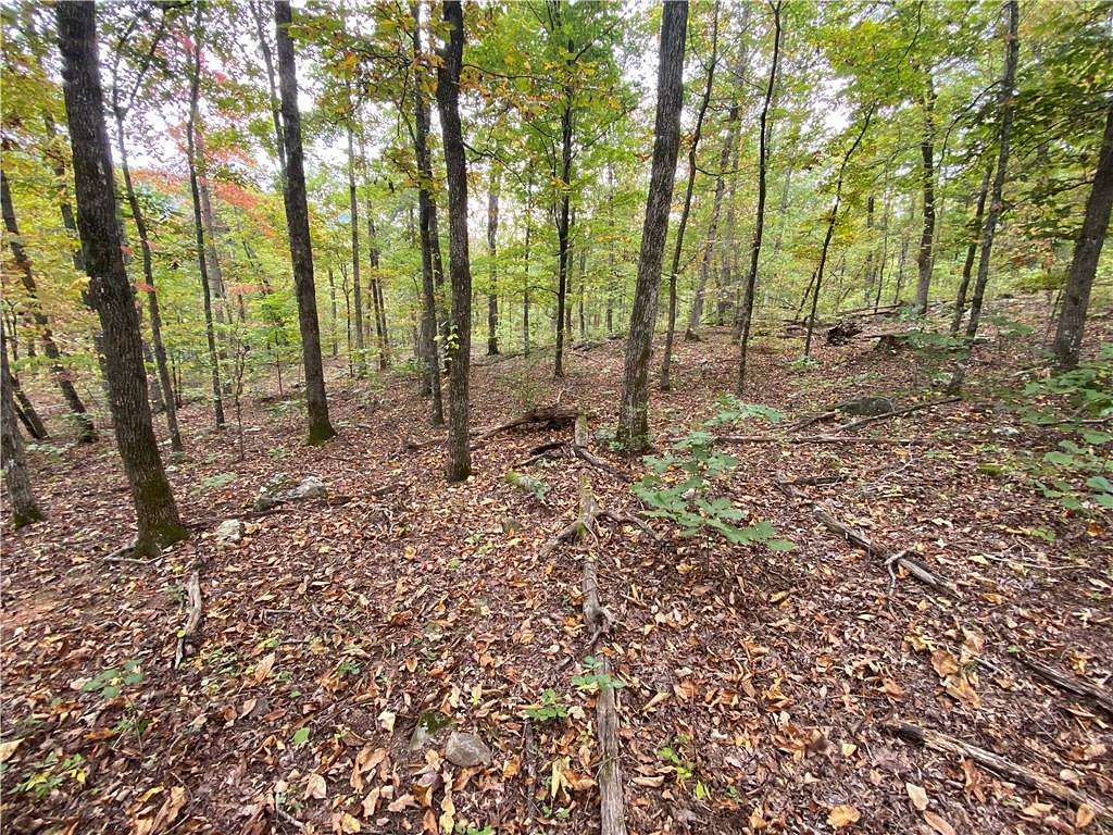 20 Acres of Recreational Land & Farm for Sale in Jasper, Arkansas