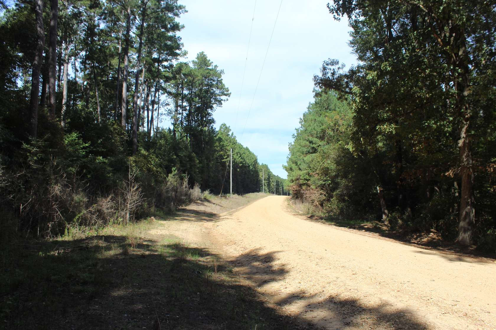 40.6 Acres of Land for Sale in Gloster, Mississippi