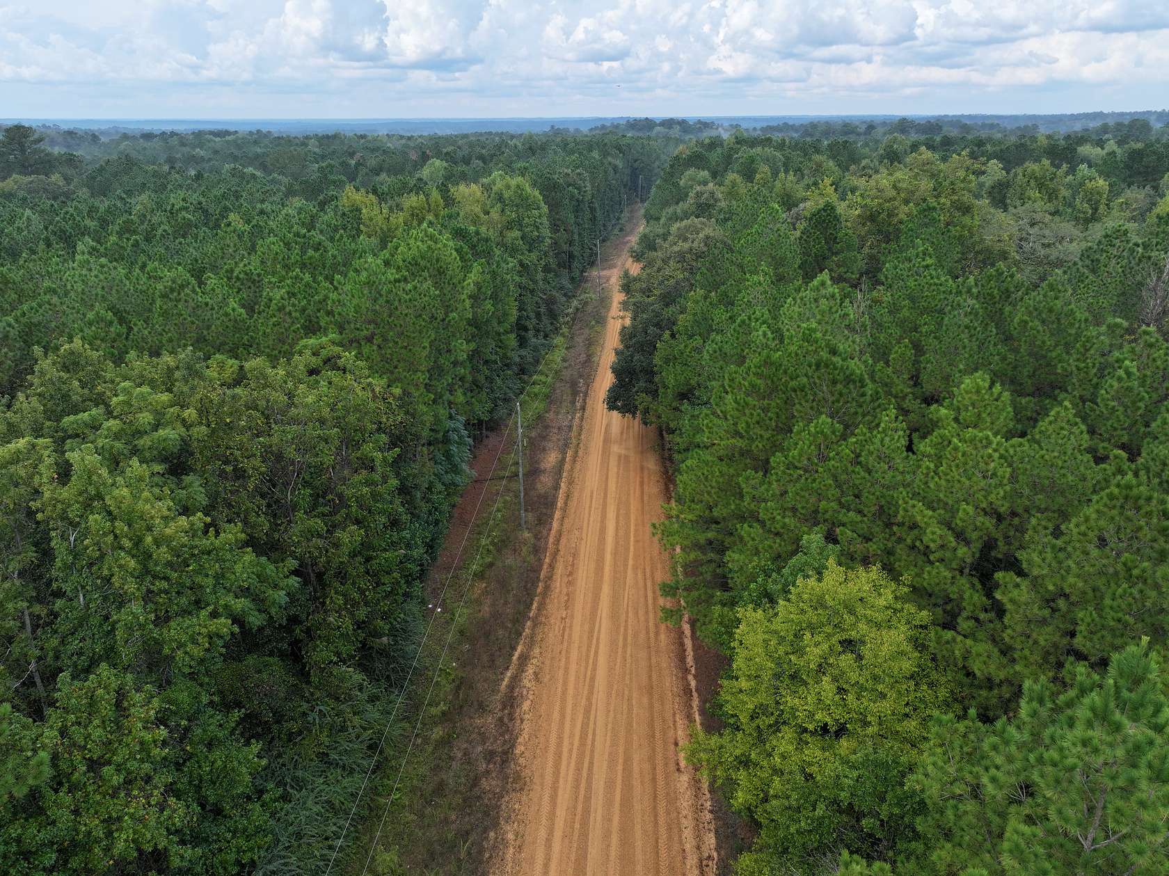 31.6 Acres of Land for Sale in Gloster, Mississippi
