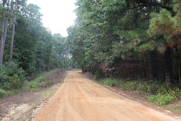 40.6 Acres of Land for Sale in Gloster, Mississippi