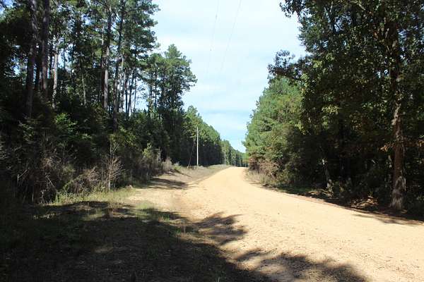 40.6 Acres of Land for Sale in Gloster, Mississippi
