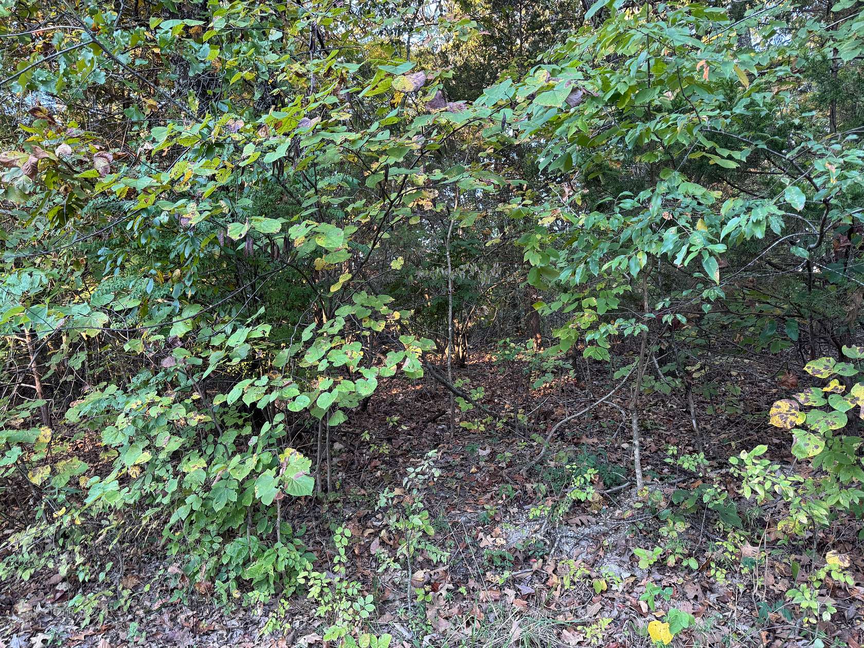 0.76 Acres of Residential Land for Sale in Horseshoe Bend, Arkansas