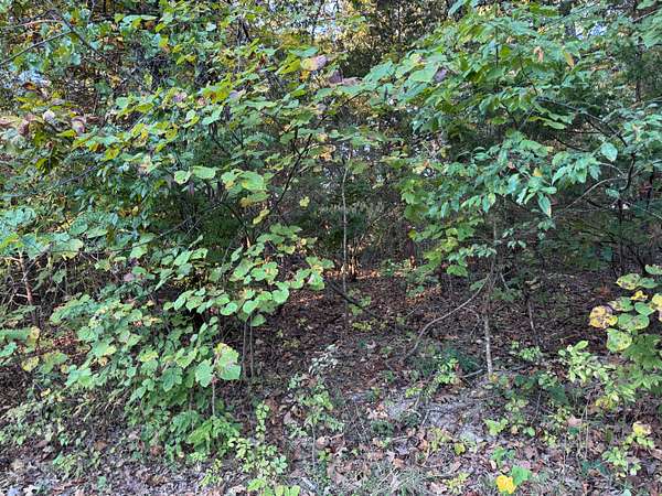 0.76 Acres of Residential Land for Sale in Horseshoe Bend, Arkansas