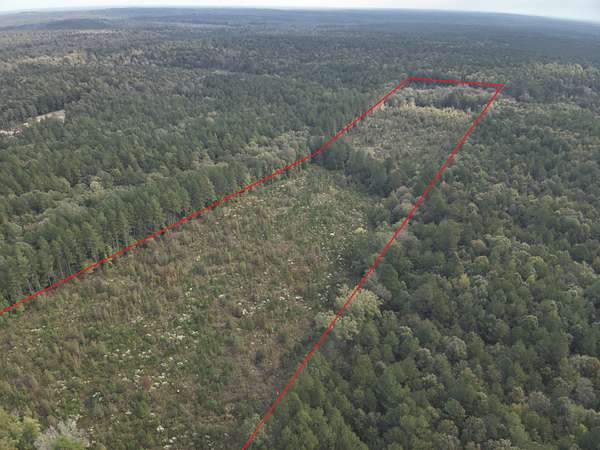 32 Acres of Recreational Land & Farm for Sale in Camden, Arkansas