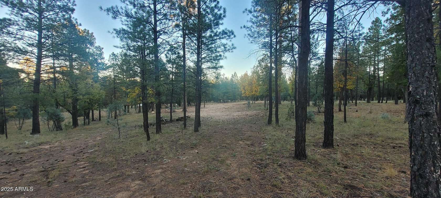 0.84 Acres of Residential Land for Sale in Happy Jack, Arizona