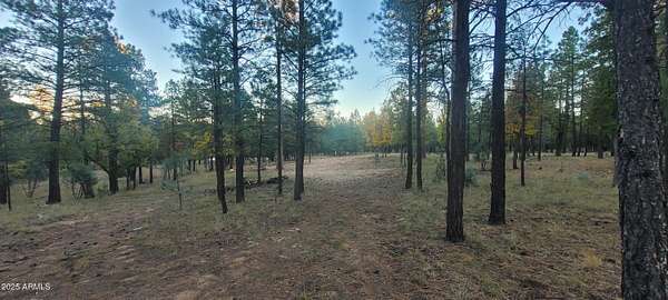 0.84 Acres of Residential Land for Sale in Happy Jack, Arizona
