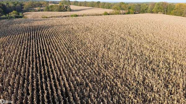 60 Acres of Recreational Land & Farm for Sale in Floris, Iowa