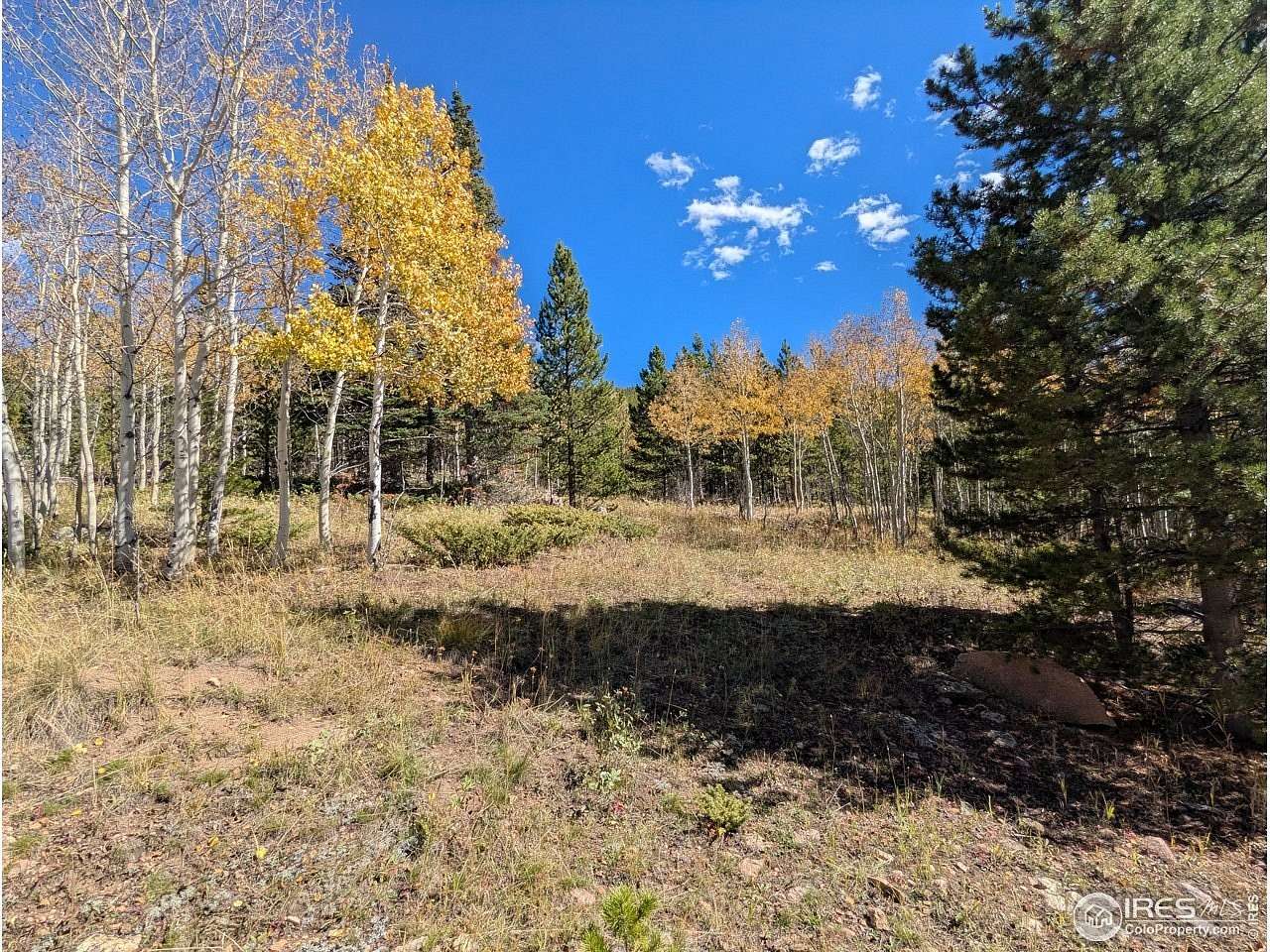 40.8 Acres of Recreational Land for Sale in Red Feather Lakes, Colorado