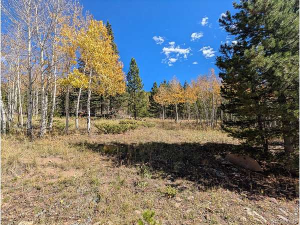 40.8 Acres of Recreational Land for Sale in Red Feather Lakes, Colorado